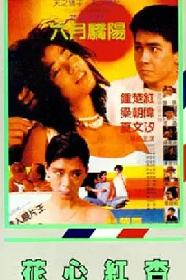 亚洲精品国产一区二区