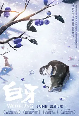 国产永久精品