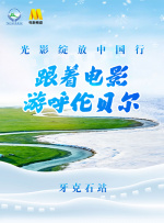 我的秘书小姐