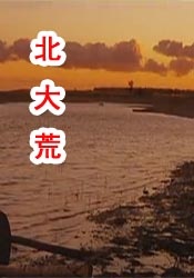 久久少妇
