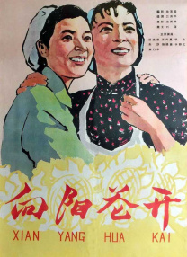国产三级在线观看视频不卡